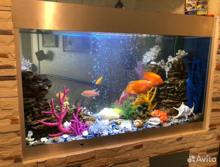 Чистка аквариума, оформление, обслуживание