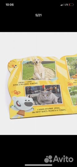 Детские картонные книги