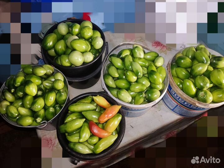 Помидоры домашние