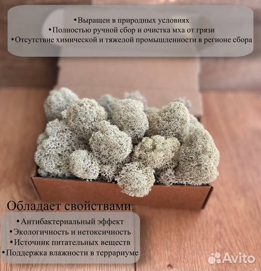 Мох ягель для стабилизации