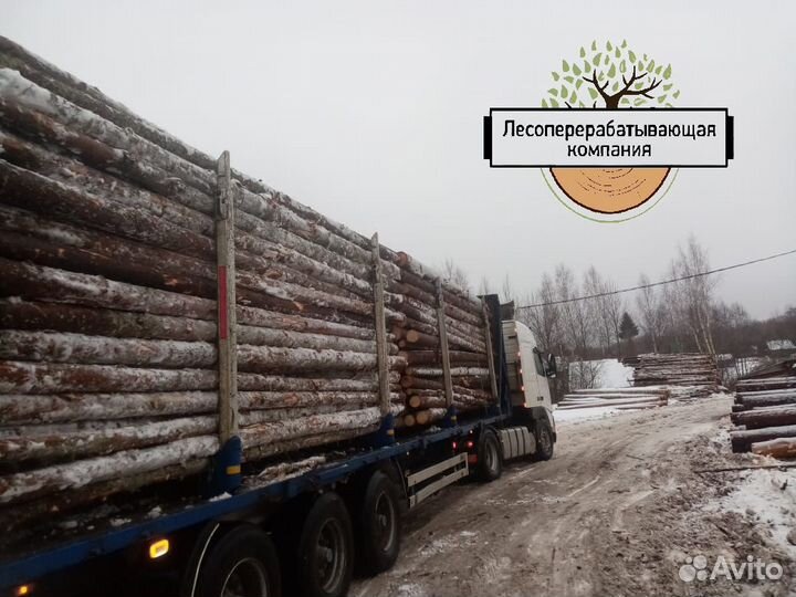 Баланс Хвойный