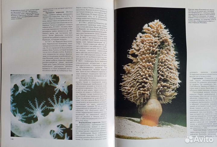 Книга Мир животных