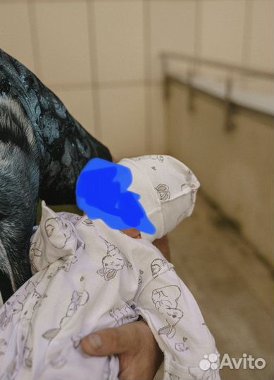 Комплект на выписку