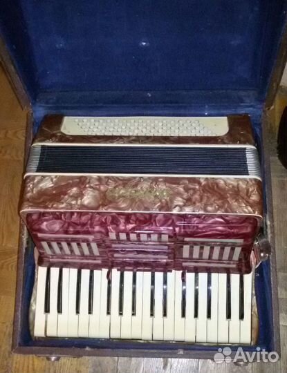Аккордеон 