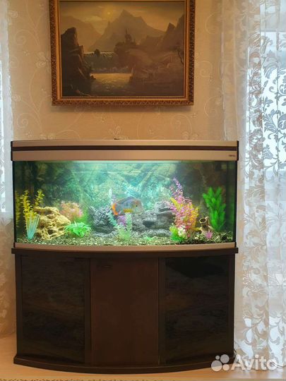 Аквариум 200л