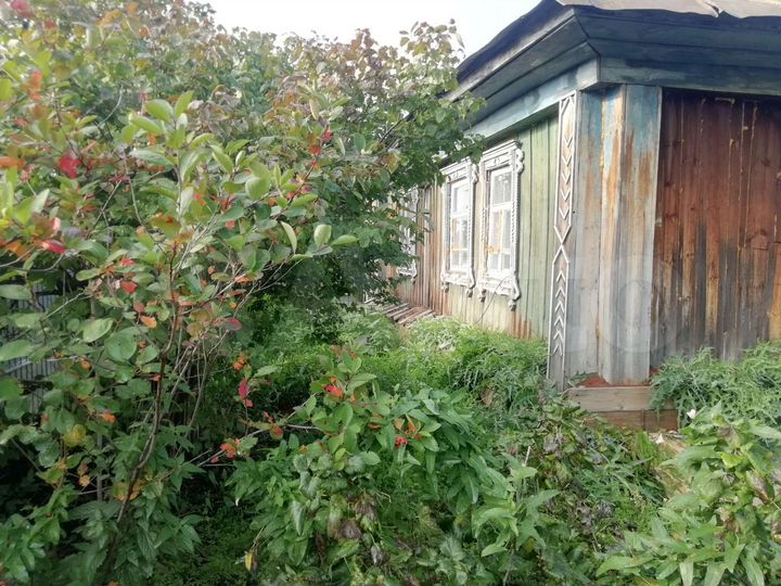 Дом 50 м² на участке 50 сот.