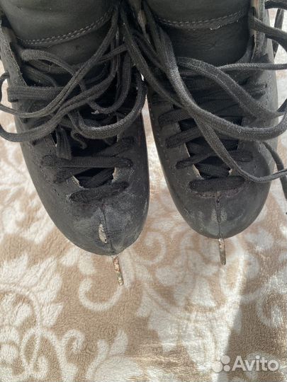 Коньки edea chorus 225 black