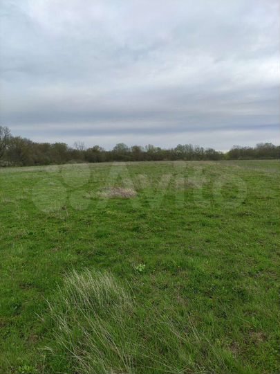 Участок 1,2 га (СНТ, ДНП)