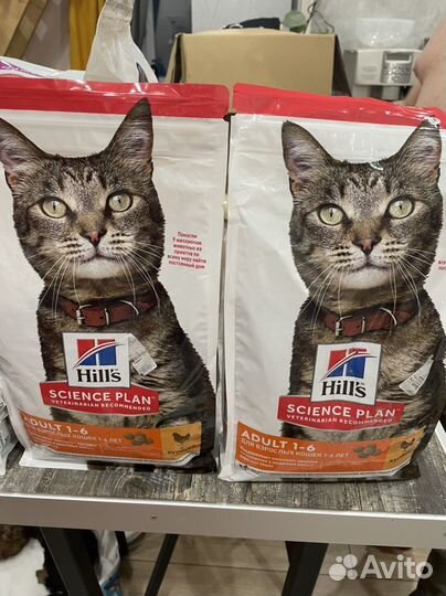 Сухой корм для кошек хиллс
