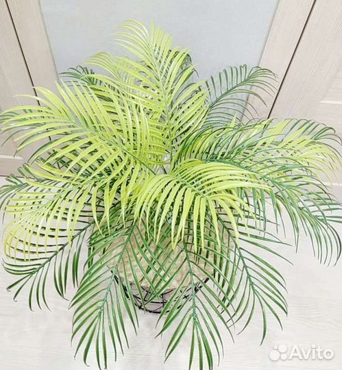 Фито картина, фито панно