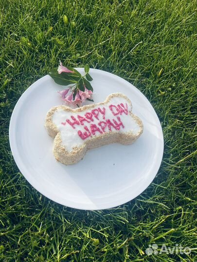 Торты для собак и кошек