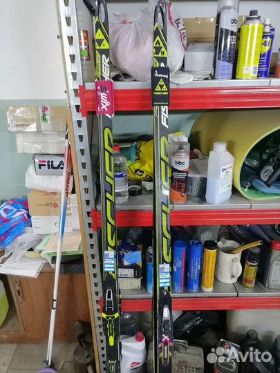 Лыжи беговые fisher speed max