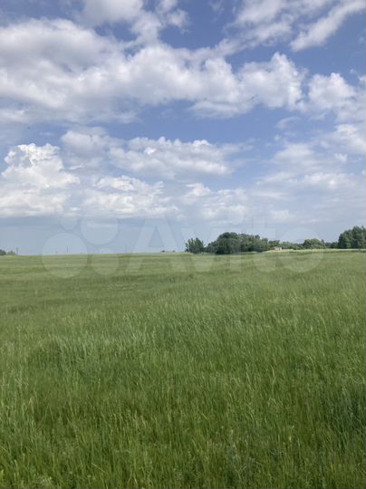 Участок 140 га (СНТ, ДНП)