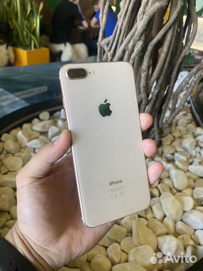 iPhone 8 Plus, 64 ГБ
