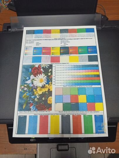 Цветной мфу Epson XP-303 wifi с снпч рабочий