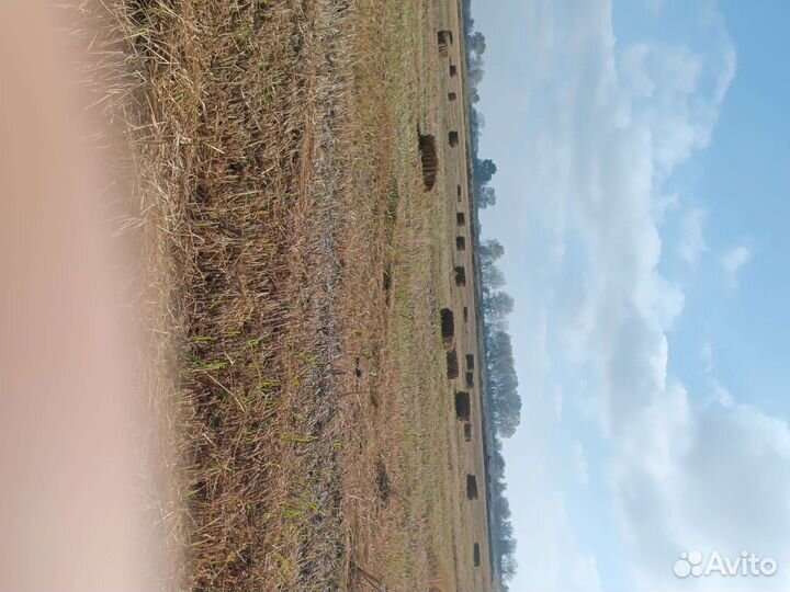 Салома рисовая тюках