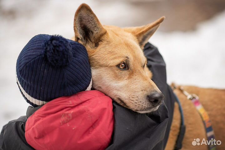 Большунов. Нуждается в своём человеке
