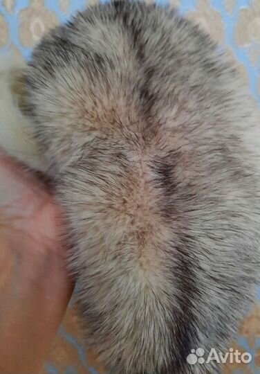 Кепи женское,бу