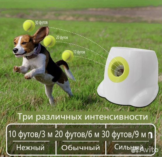 Катапульта для собак