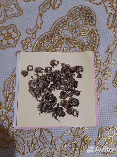 Семена Календулы,укроп