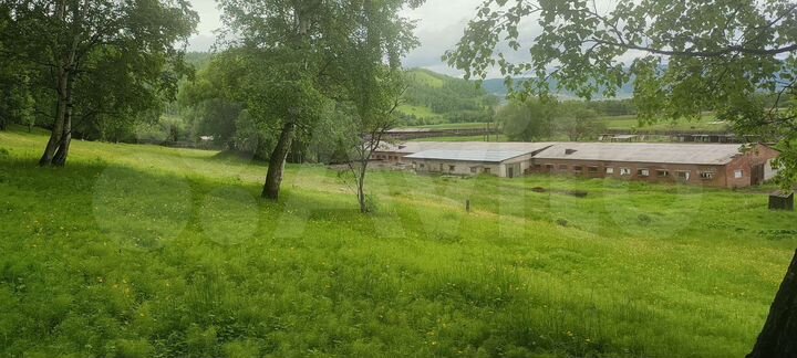 Участок 3,6 га (СНТ, ДНП)