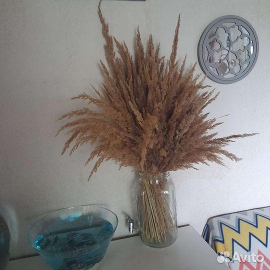 Огромный букет из сухоцветов