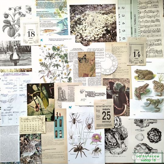 Ботанический набор для джанкбука (скрапбукинг)