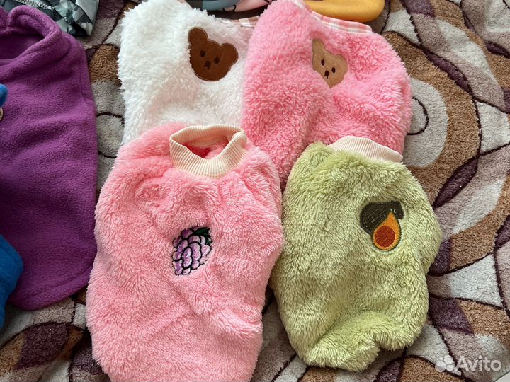 Одежда для животных