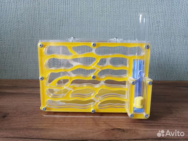 Муравьиная ферма