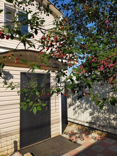 Дом 181 м² на участке 6 сот.