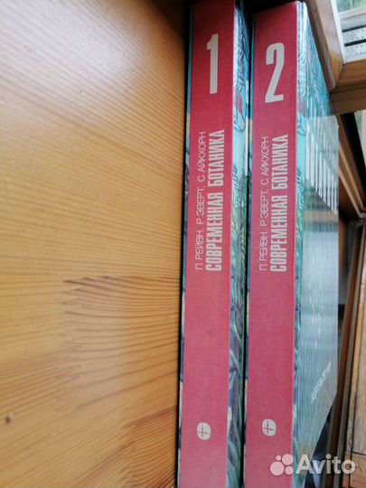 Современная ботаника (Рейвн, Эверт, Айкхорн)