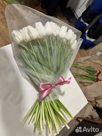 Луковицы тюльпанов