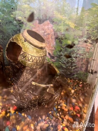 Украшения для аквариума