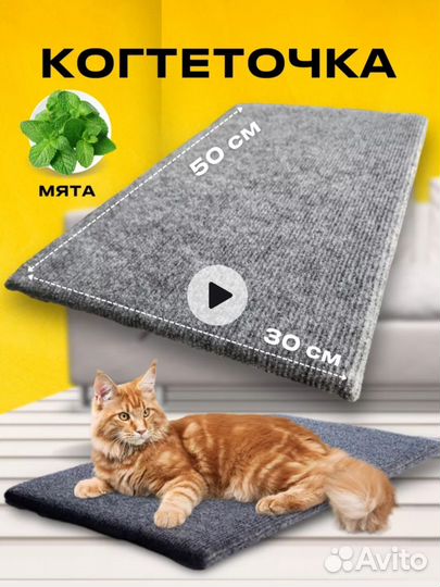 Когтеточка