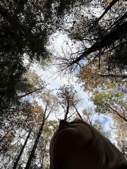 Участок 13 сот. (СНТ, ДНП)