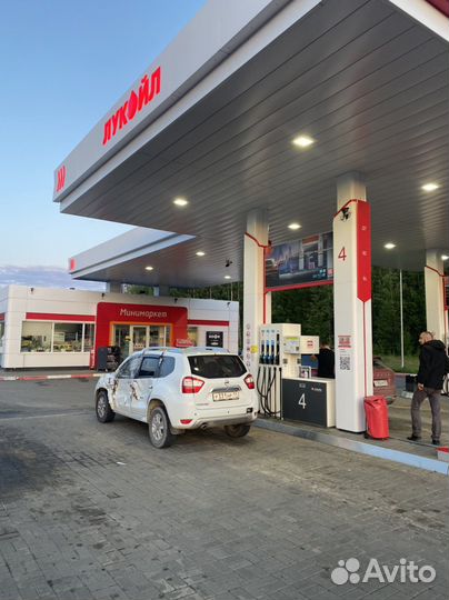 Nissan Terrano 2.0 AT, 2019, битый, 82 000 км
