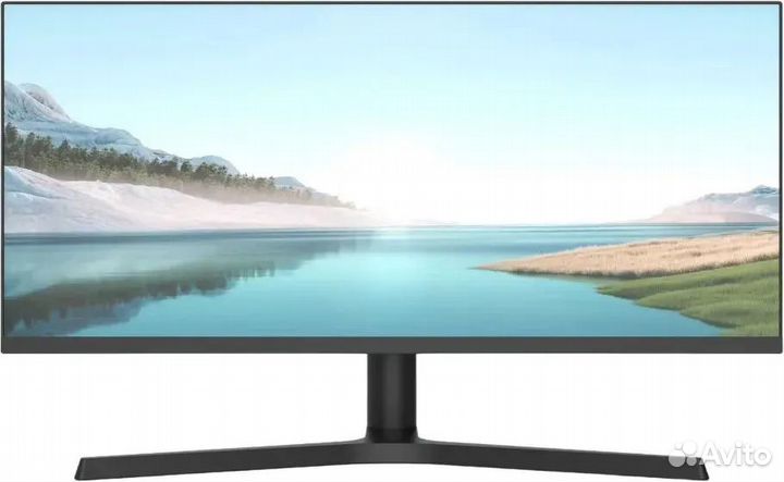 Монитор NPC MB300L-Y 29