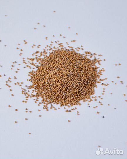 Семена для микрозелени