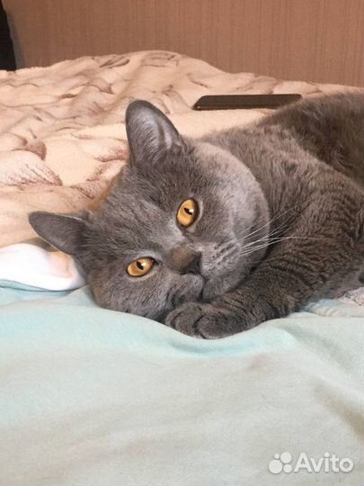 Приглашаем невест на свидание