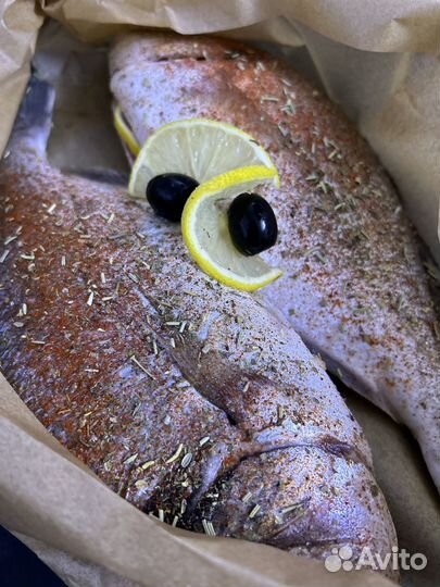 Свежая рыба Дорадо Сибас