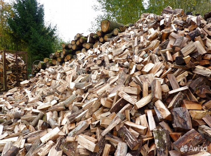 Дрова ольха осина