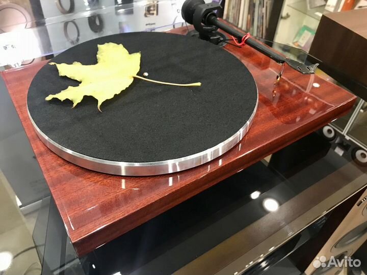 Виниловый проигрыватель Pro-Ject 1XPression Carbon