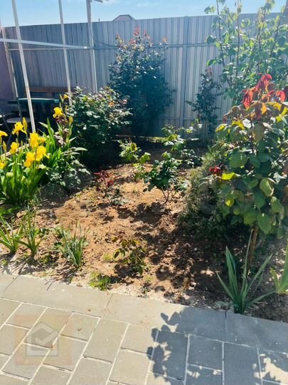 1-к. апартаменты, 34 м², 2/3 эт.