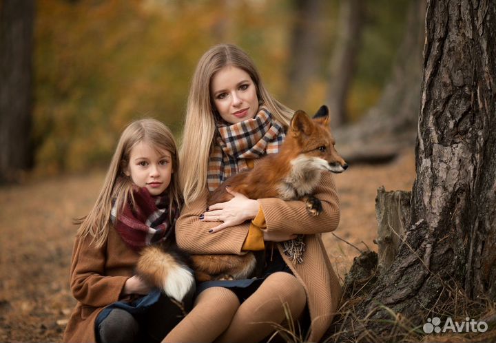 Фотосессия осенняя семейный фотодень с лисой