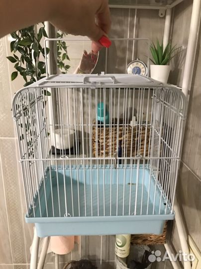 Клетка для грызунов