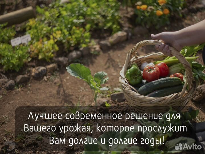 Колышки для помидоров, растений, зеленые