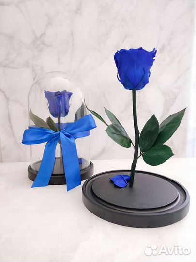 Роза в колбе