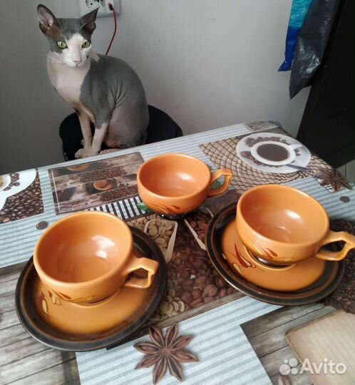 Чайная пара