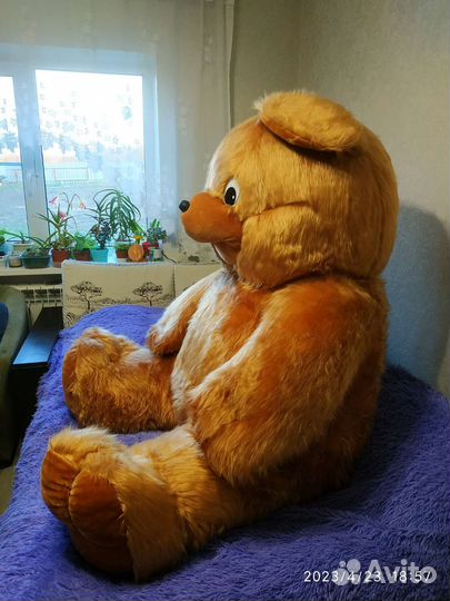 Огромный плюшевый медведь