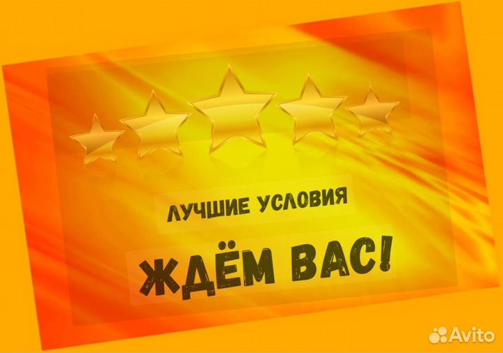 Оператор на производство Без опыта Аванс еженедельно